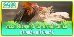cach-phan-biet-ga-tre-noi-chuan-de-nhan-biet-nhat-