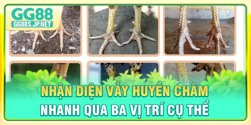 nhan-dien-vay-huyen-cham-nhanh-qua-ba-vi-tri-cu-the