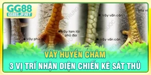 vay-huyen-cham-3-vi-tri-nhan-dien-chien-ke-sat-thu